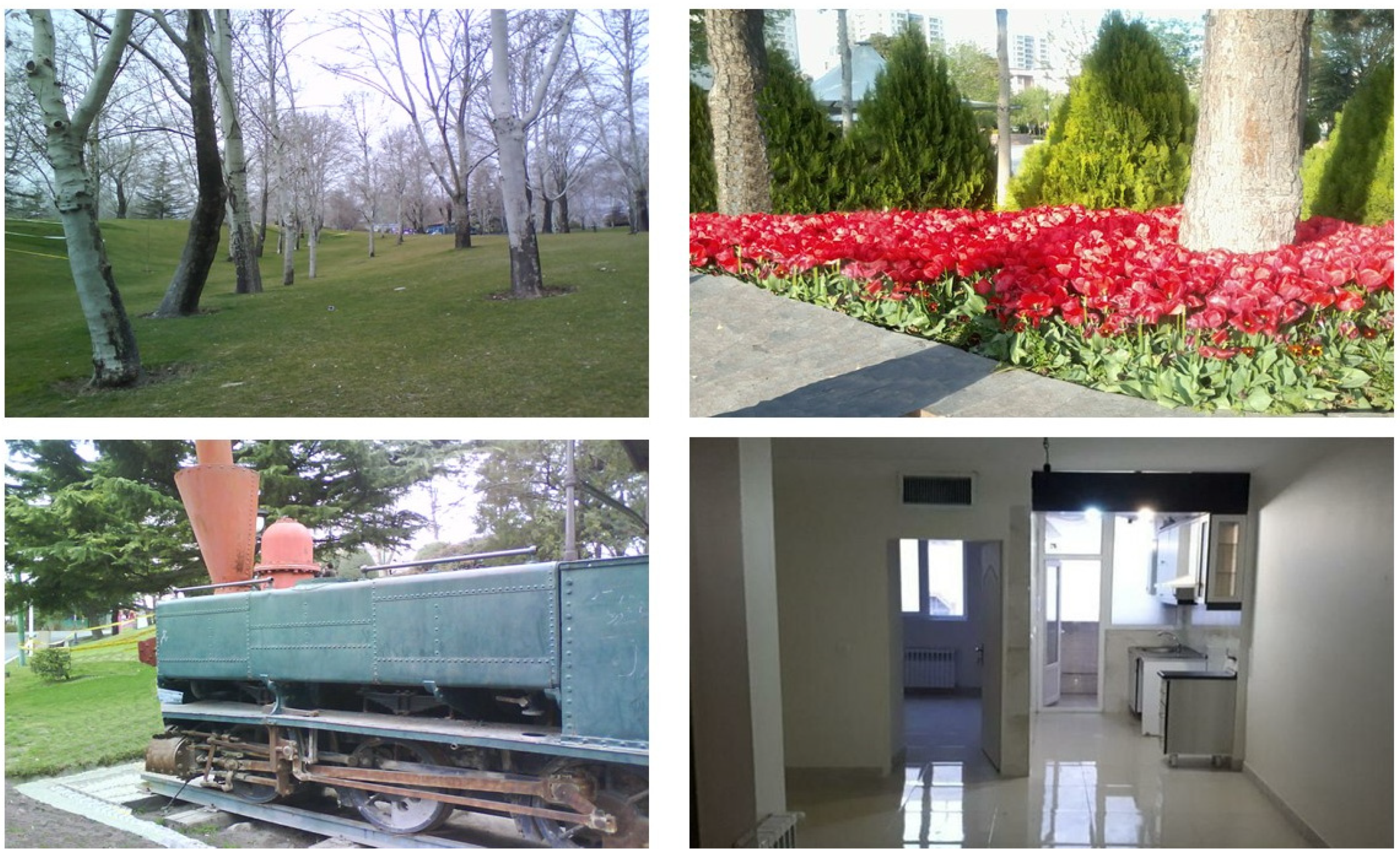 Conservation 02 00014 g002