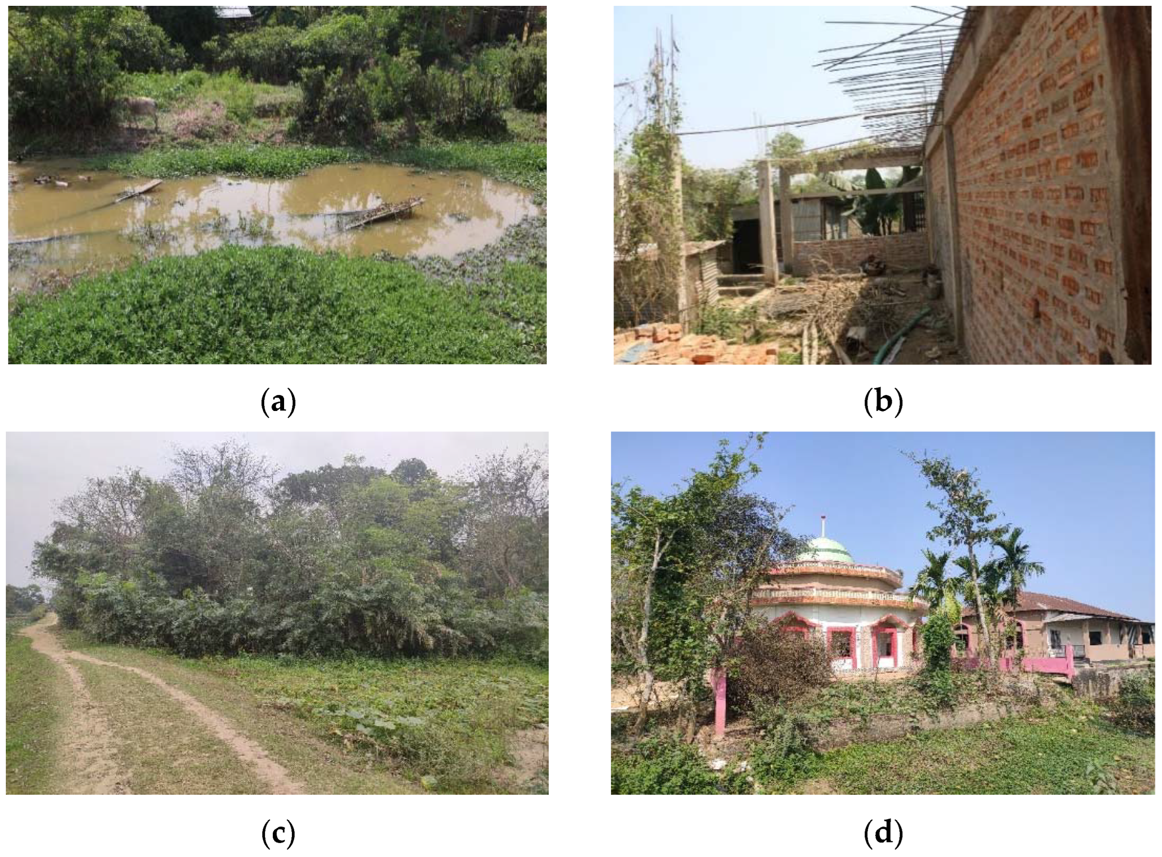 Conservation 02 00027 g006