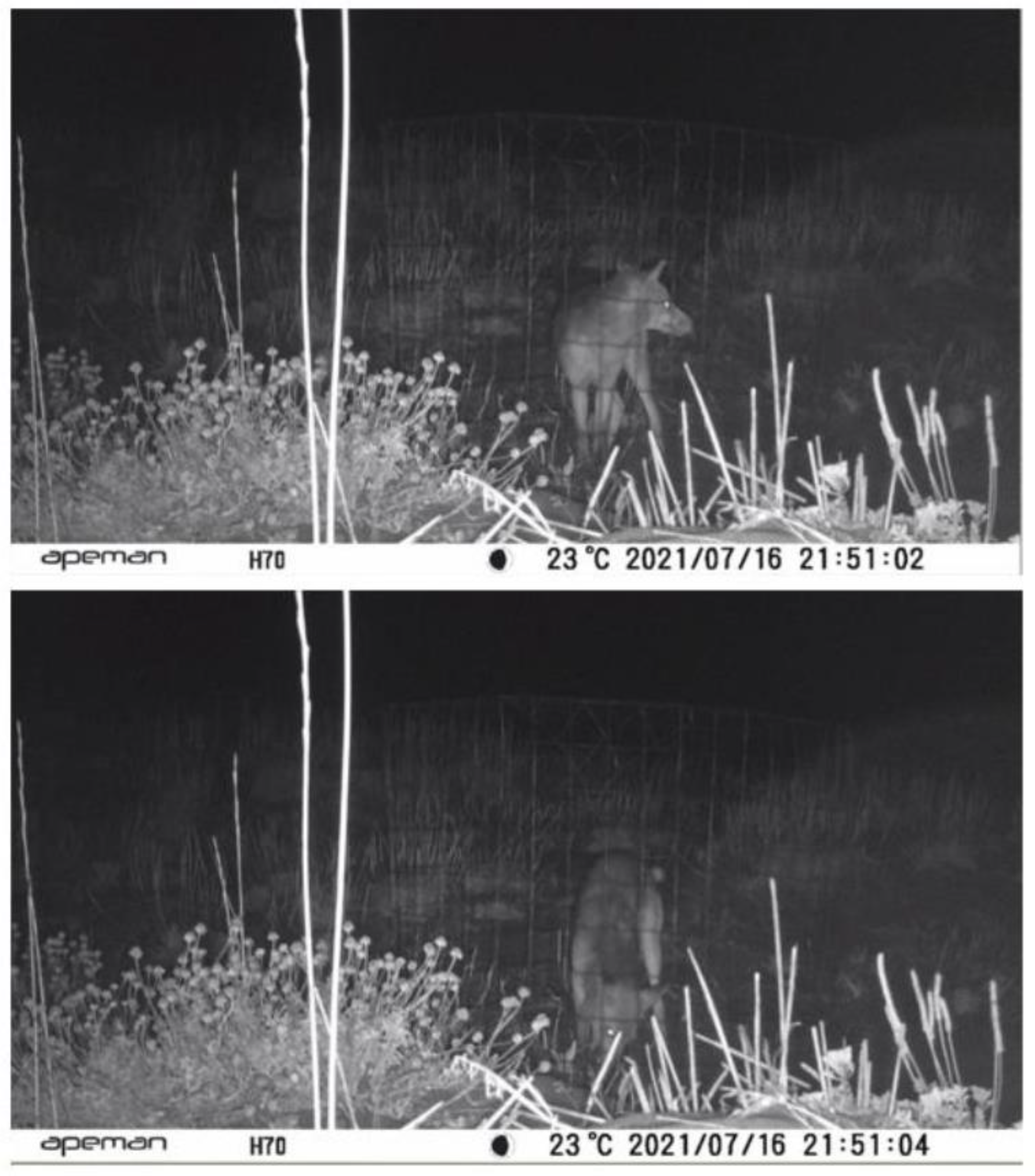Conservation 02 00030 g003