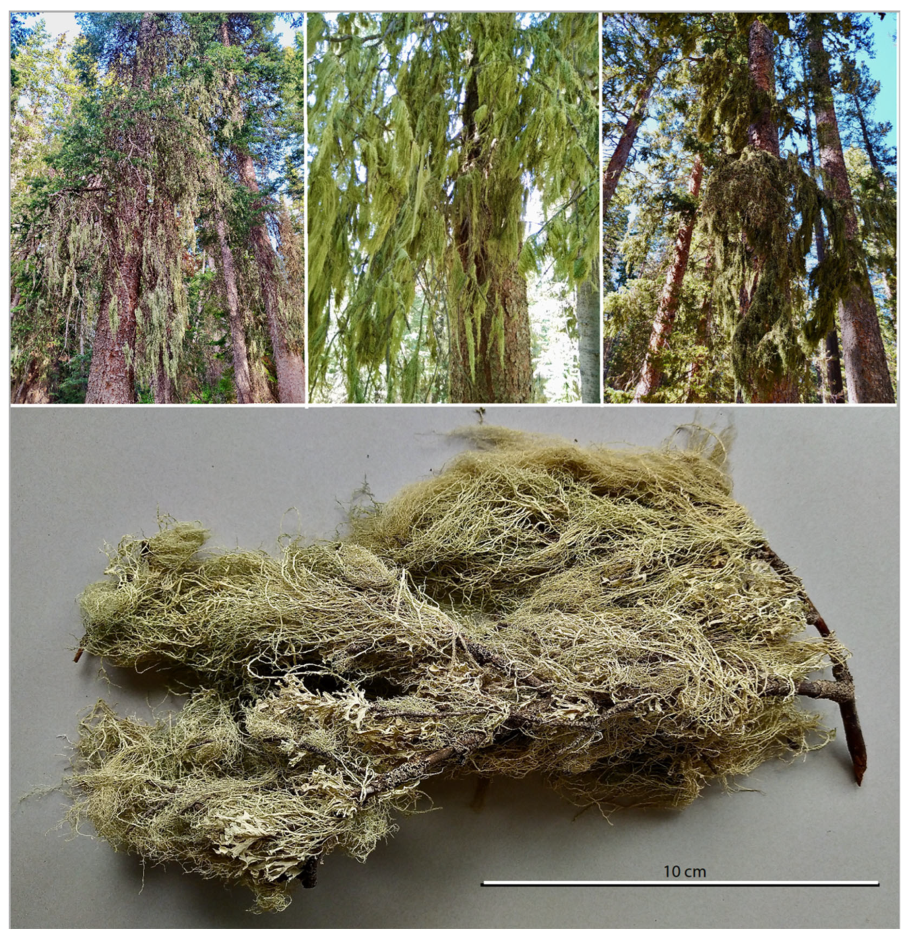 Conservation 02 00037 g002