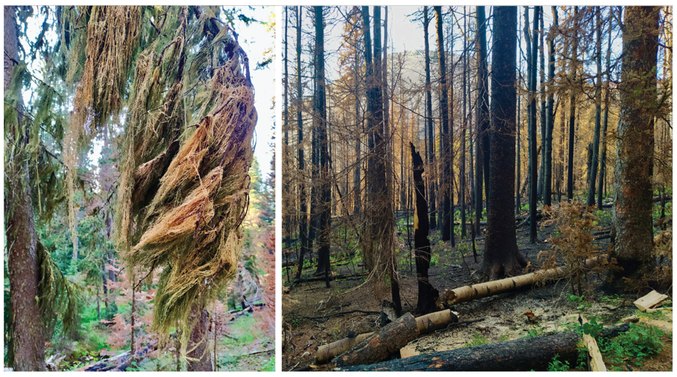 Conservation 02 00037 g005