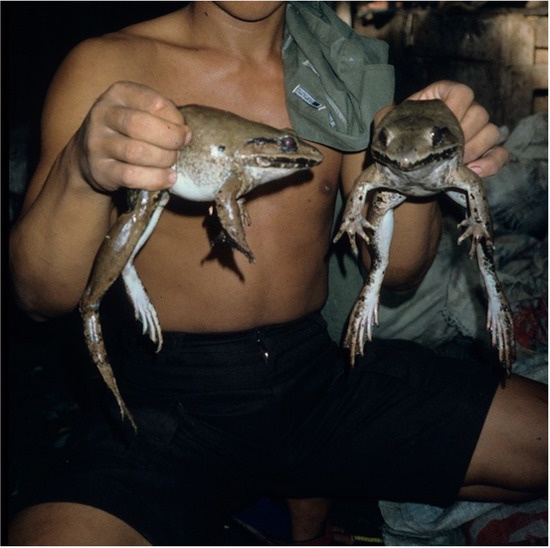 Conservation 03 00004 g002