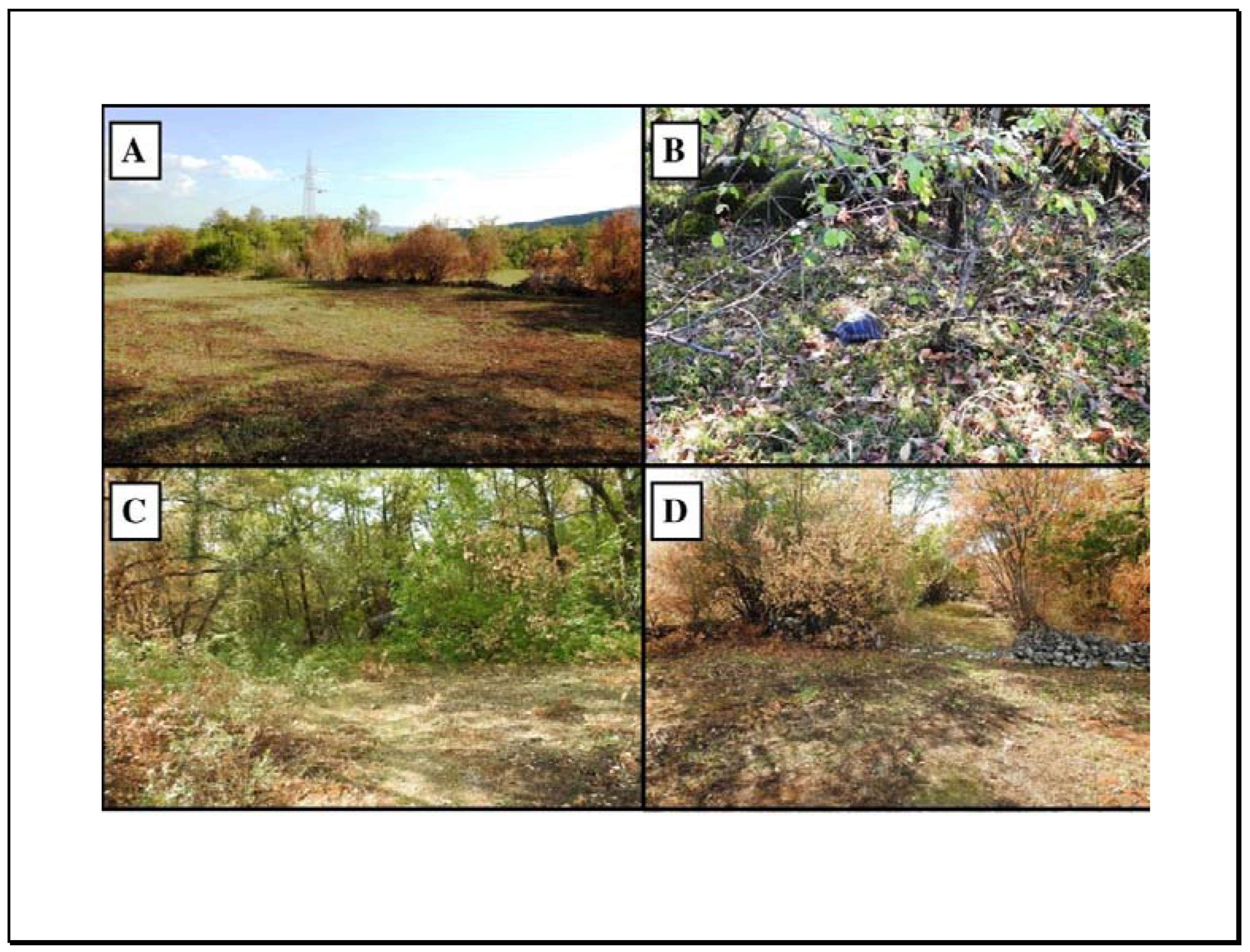 Conservation 03 00005 g003