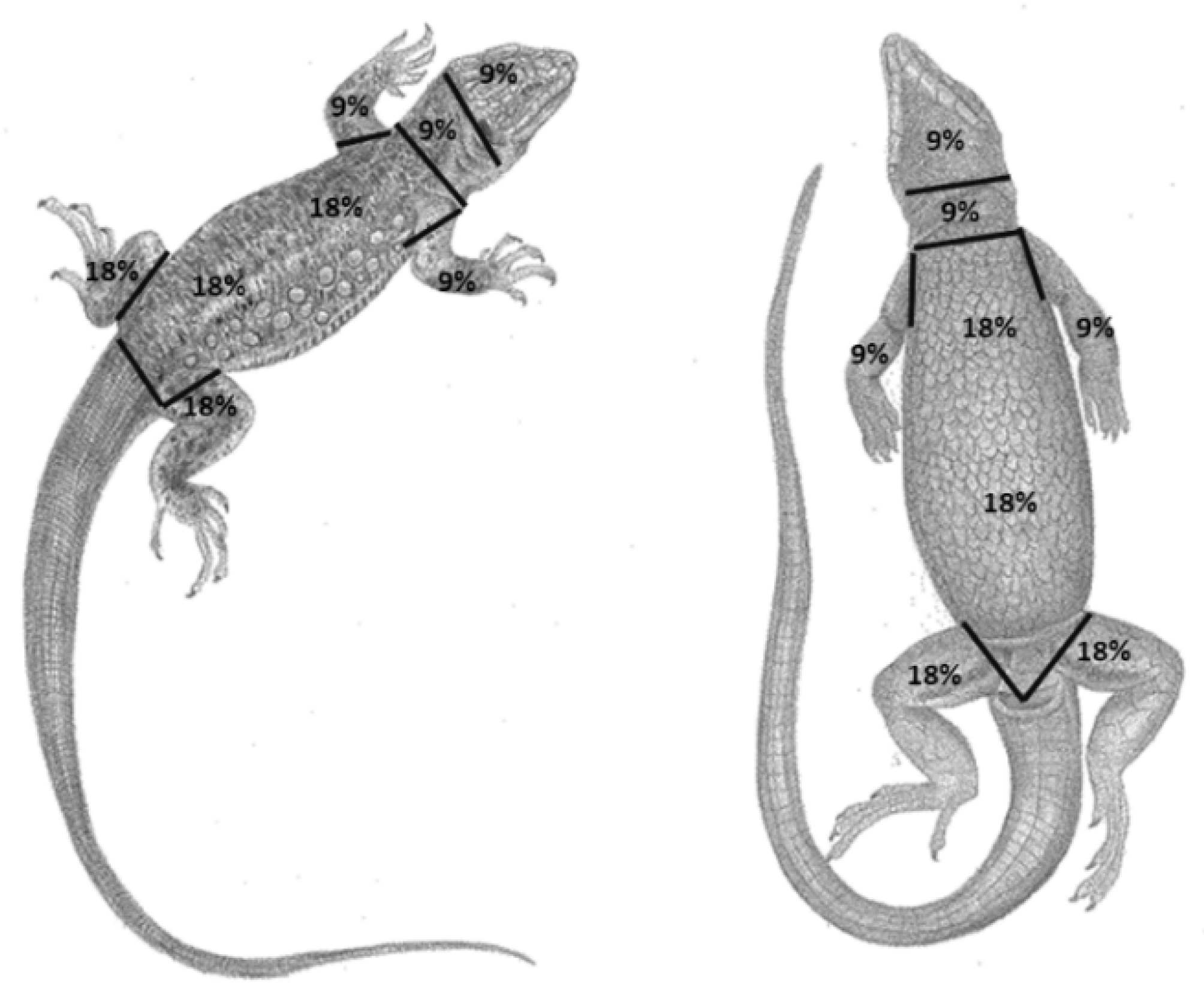 Conservation 03 00009 g005