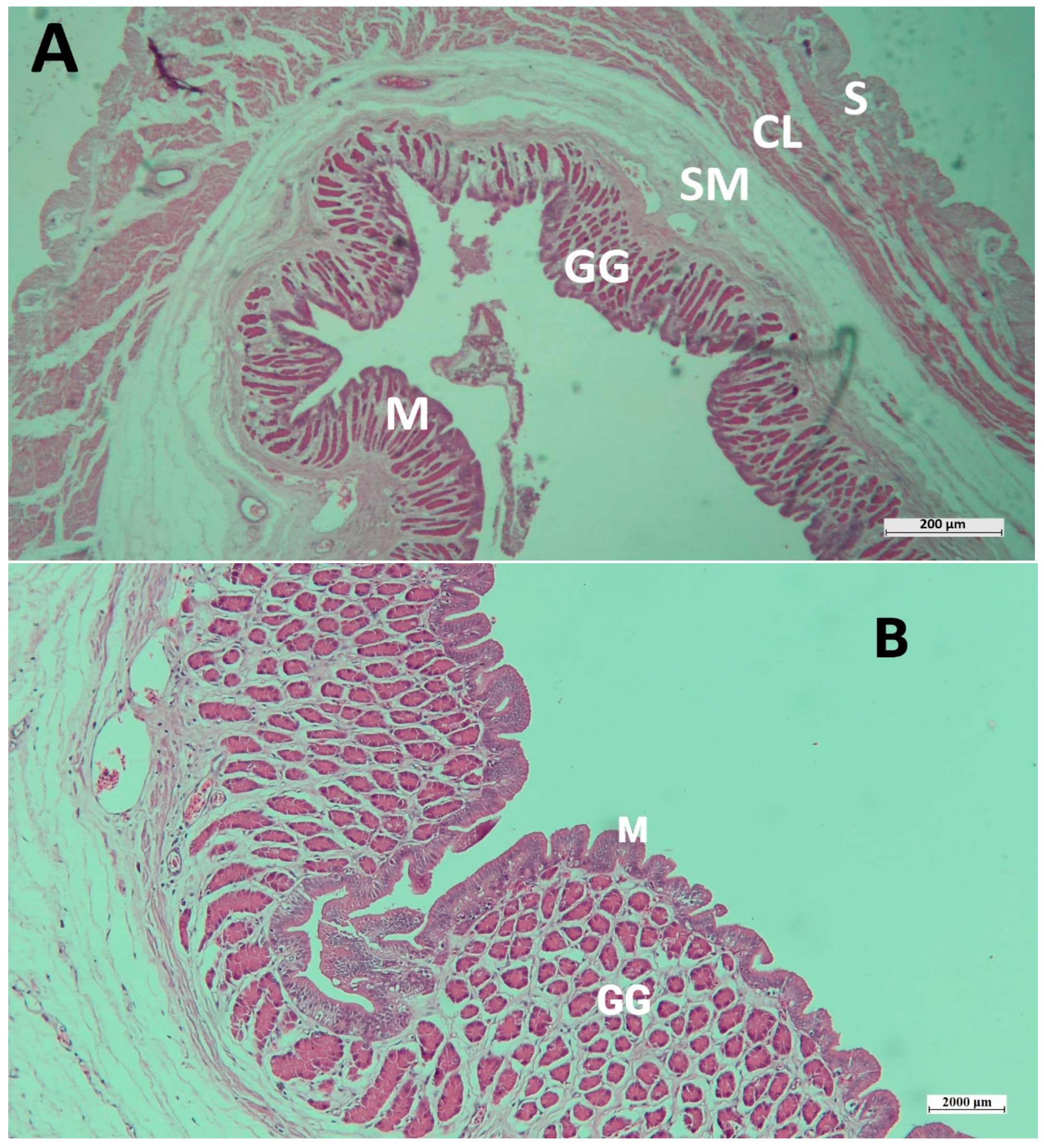 Conservation 03 00013 g006