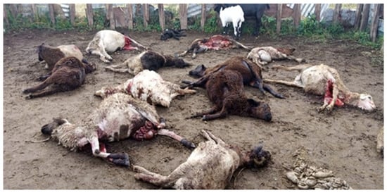 Conservation 03 00015 g0a4