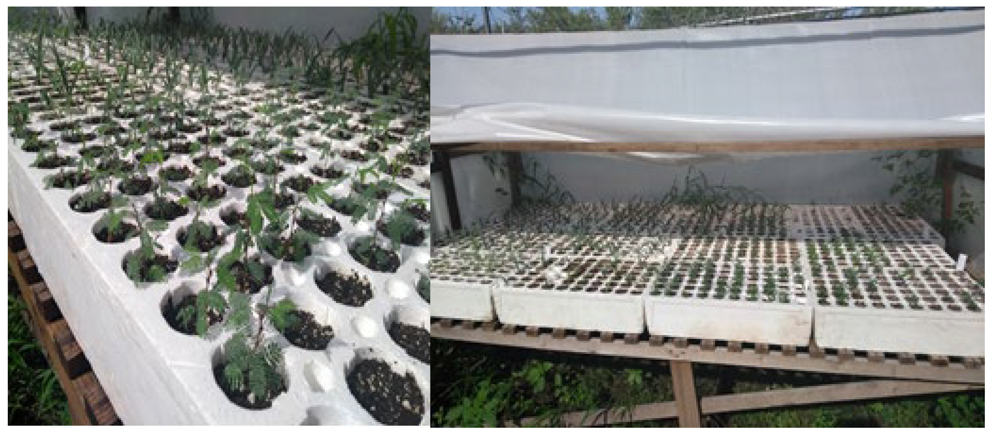 Conservation 03 00019 g003 Conservation 03 00019 g003