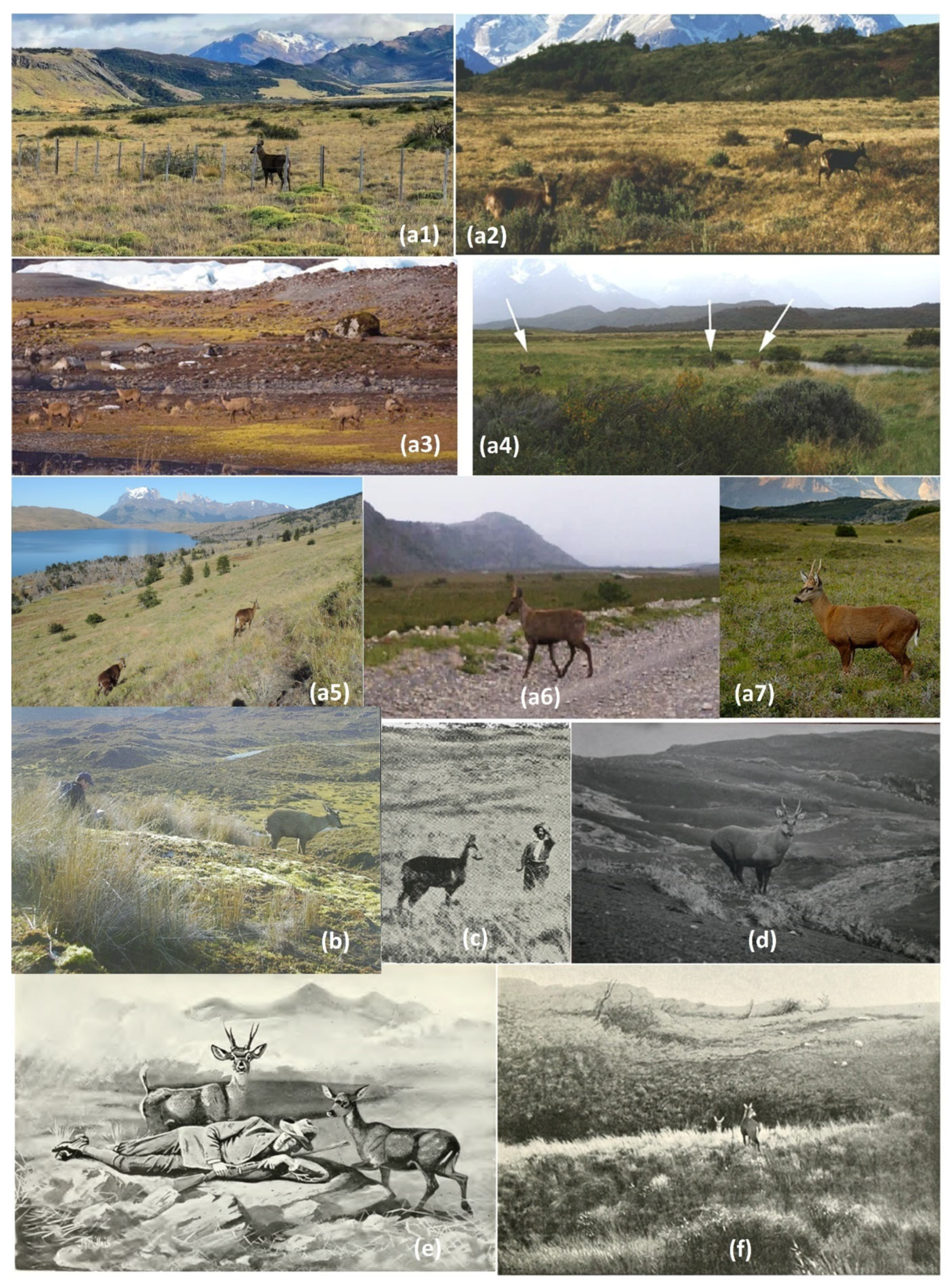 Conservation 03 00036 g003