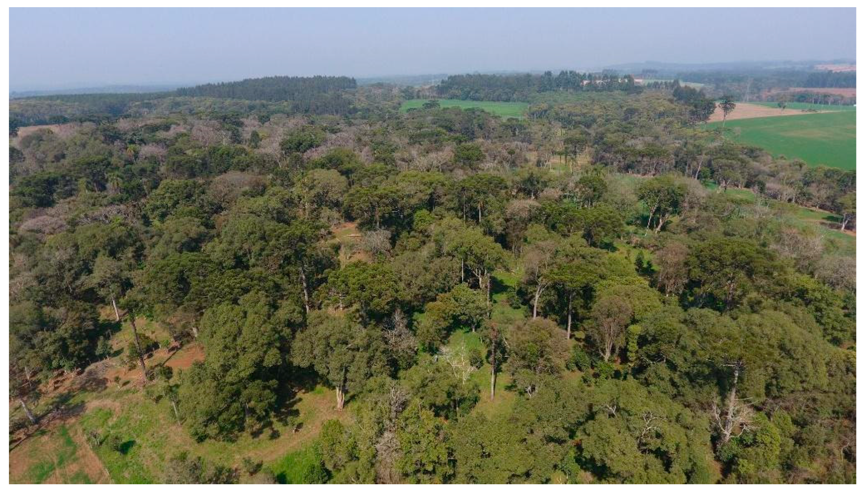 Conservation 04 00005 g003