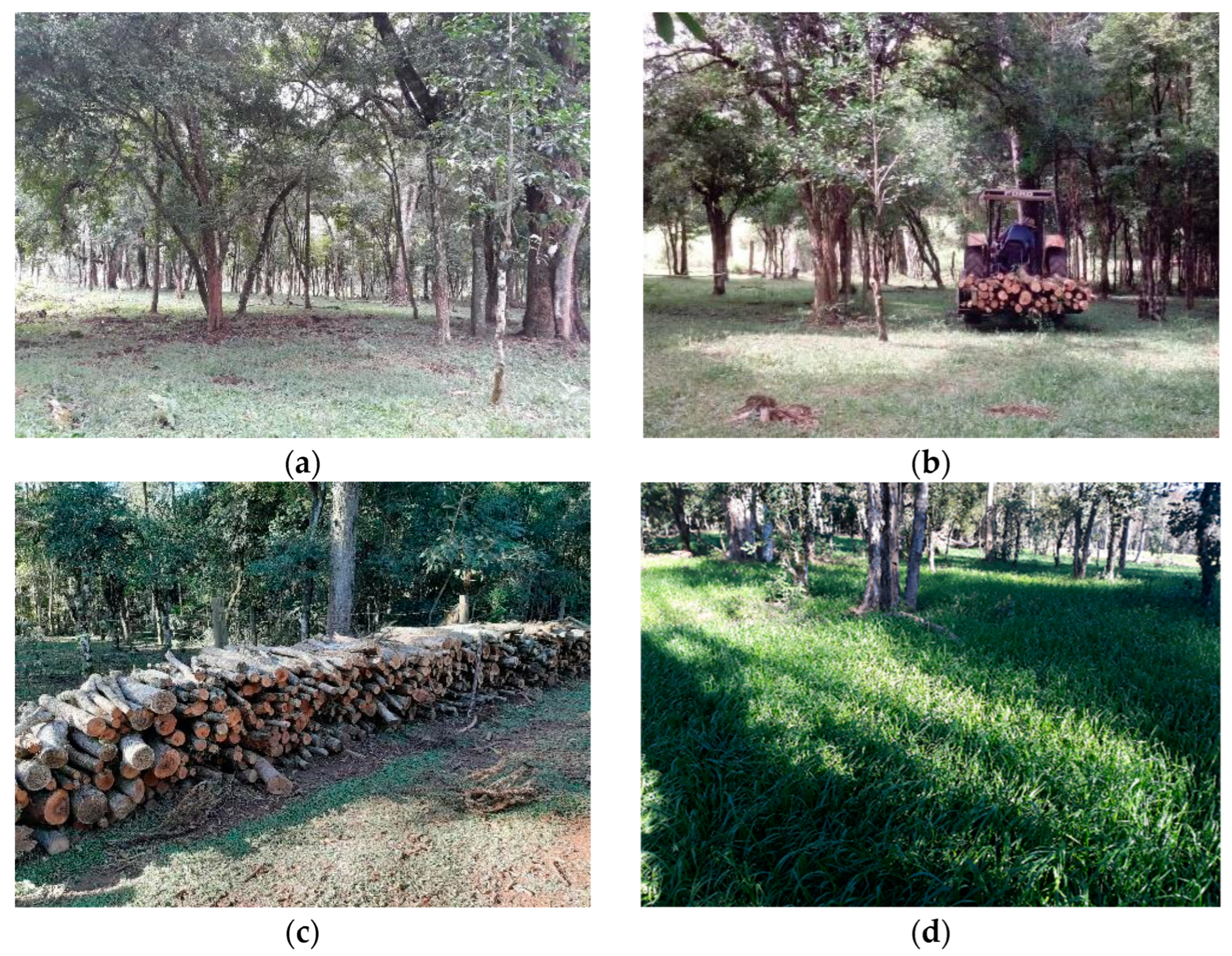 Conservation 04 00005 g004