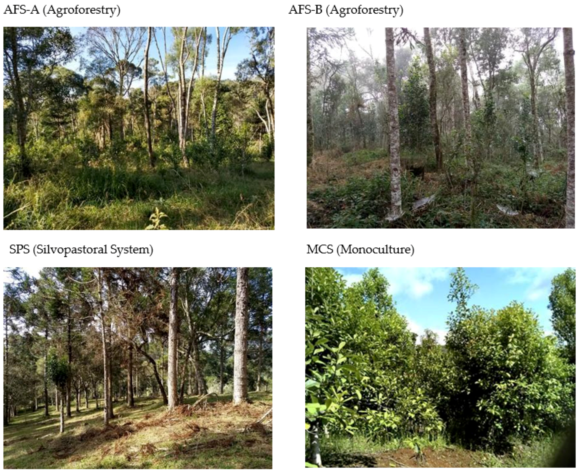 Conservation 04 00009 g001