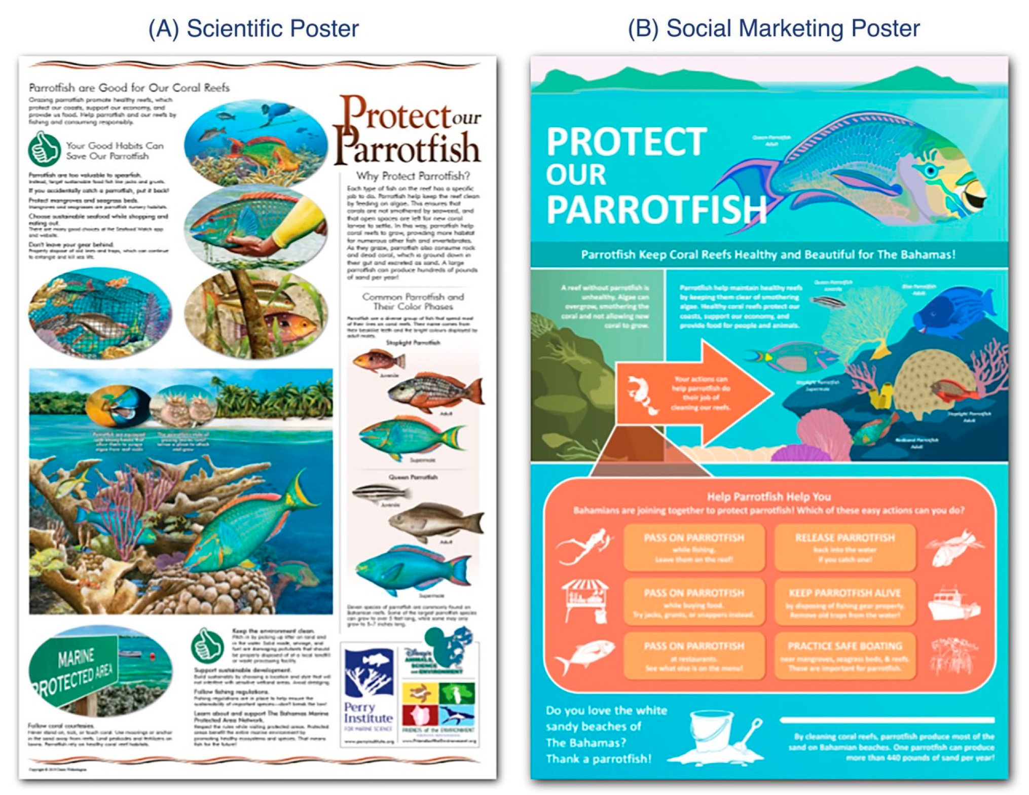 Conservation 04 00016 g001