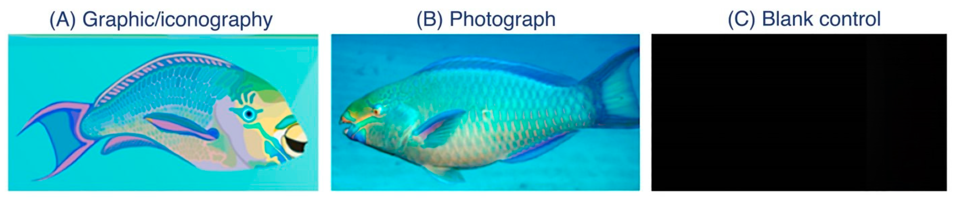 Conservation 04 00016 g002