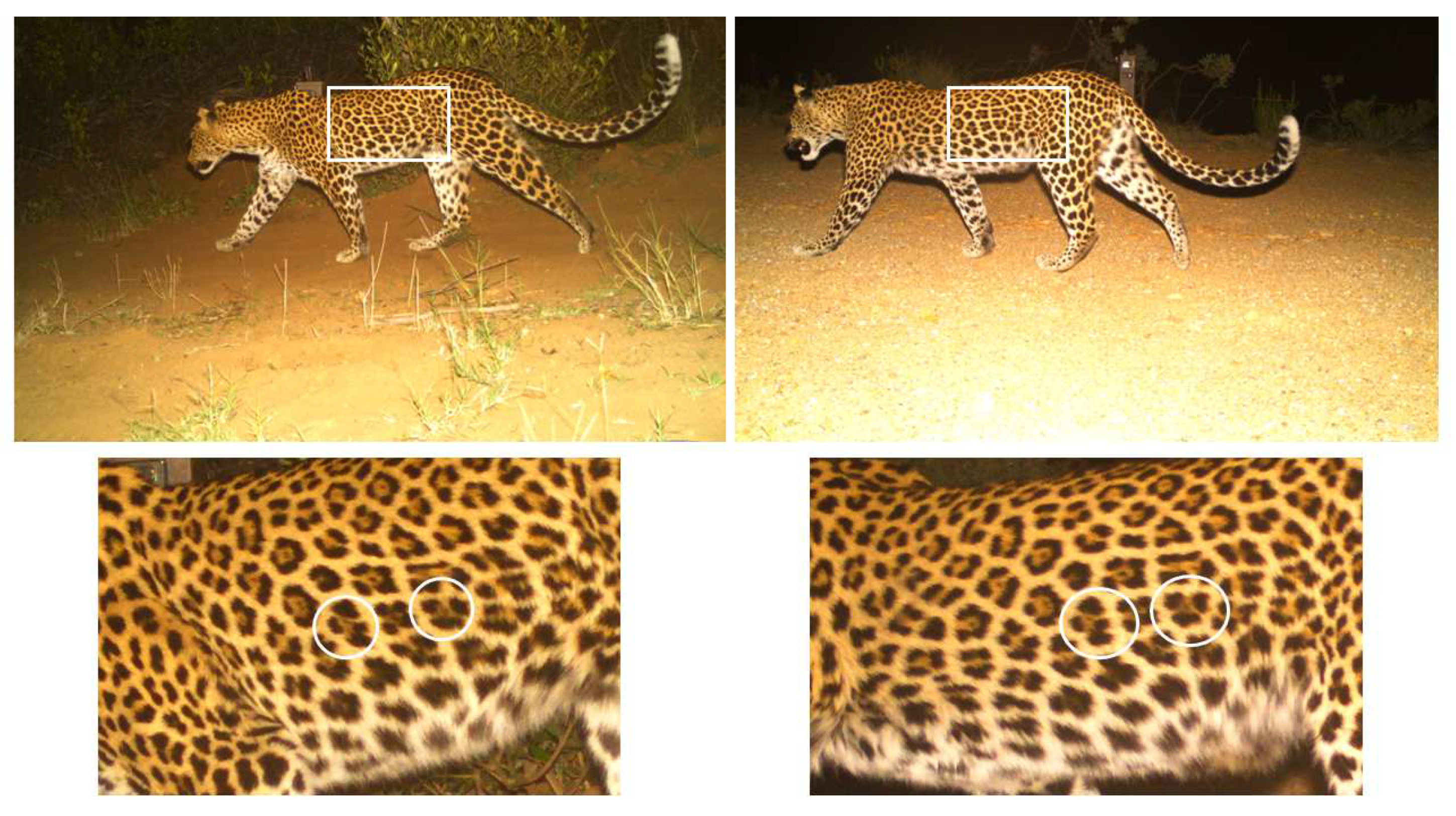 Conservation 04 00018 g002