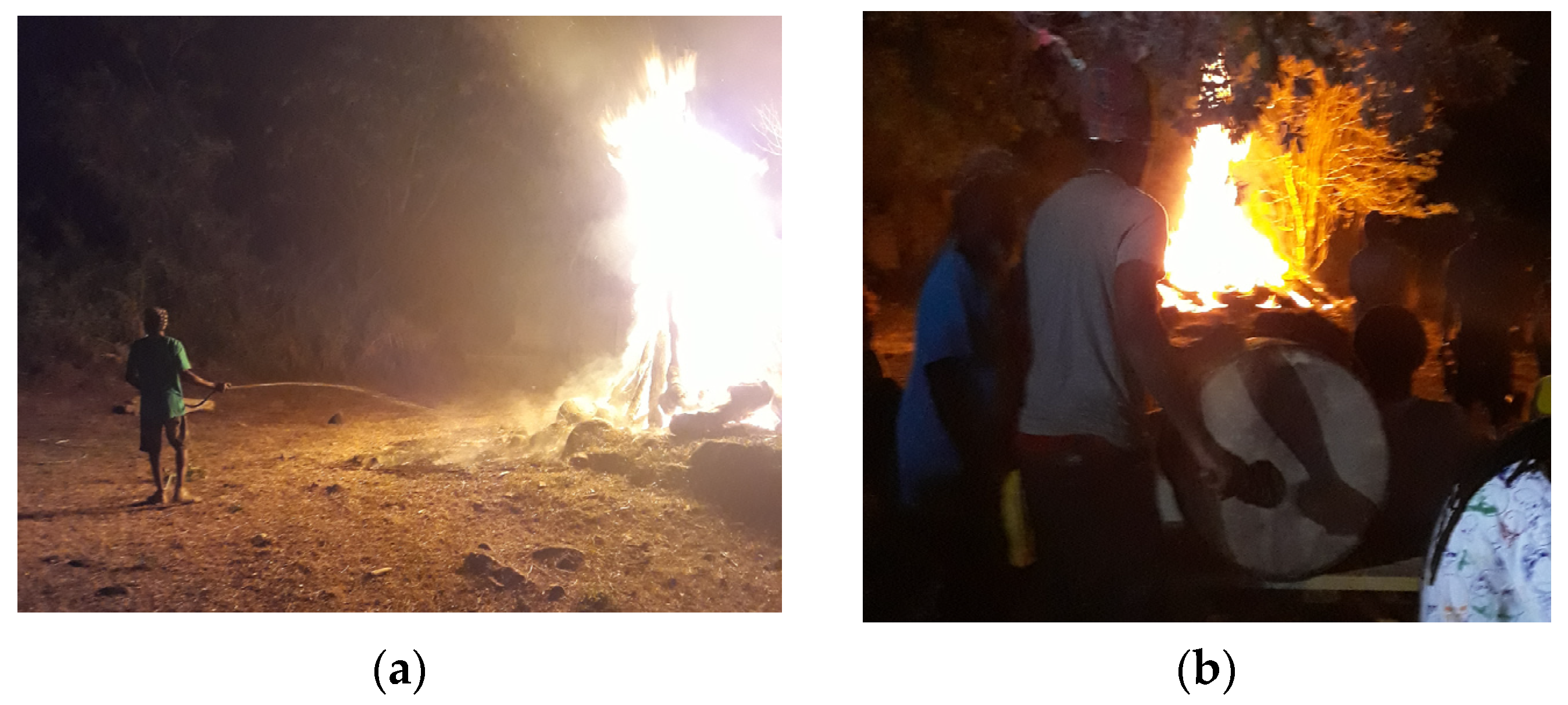 Conservation 04 00021 g005