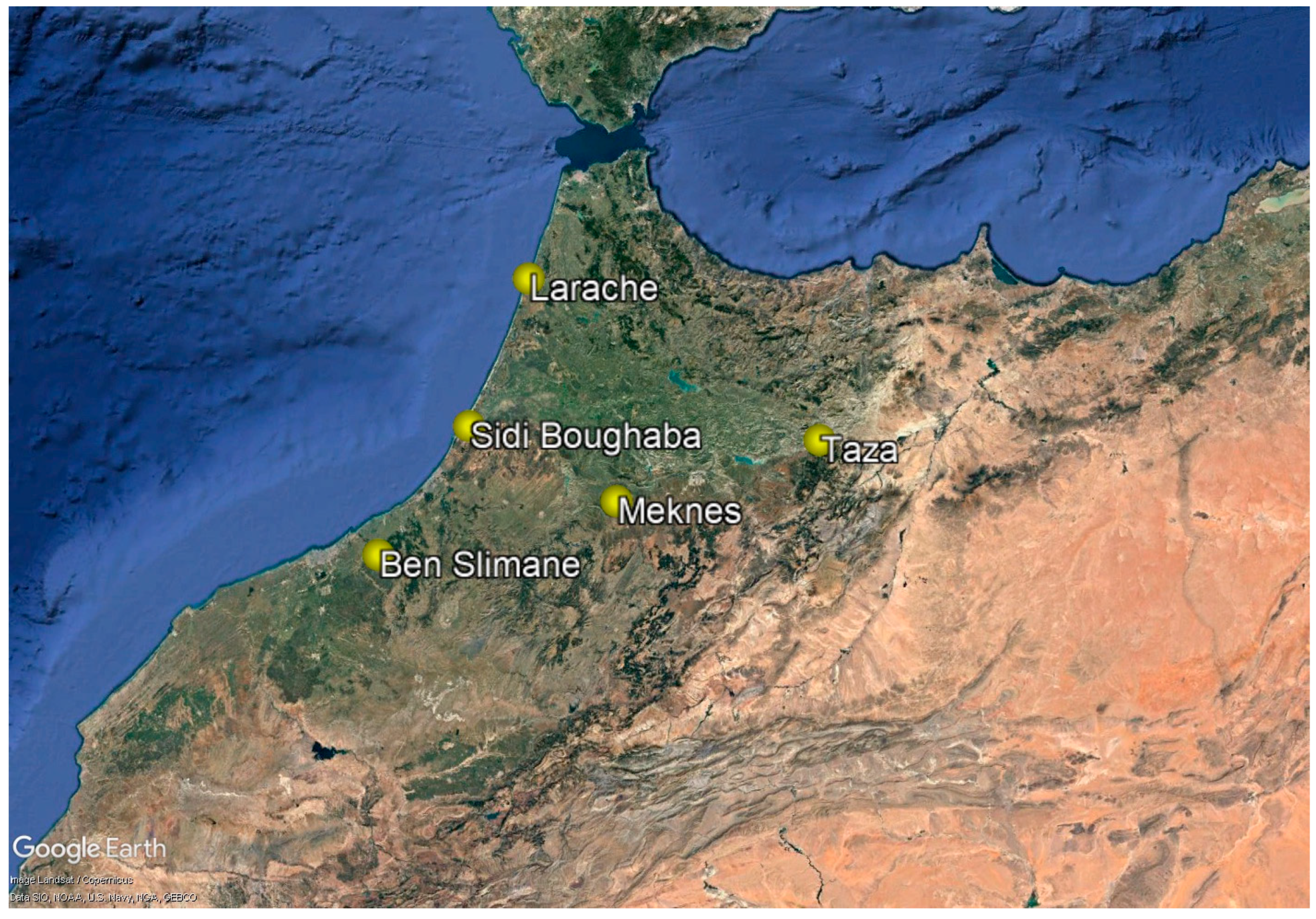 Conservation 04 00039 g006