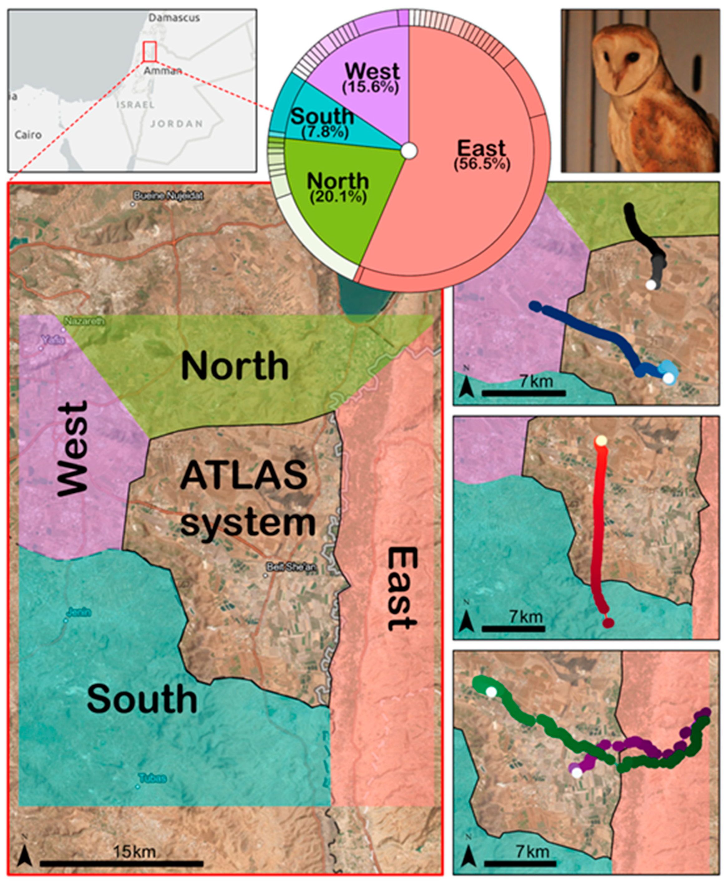 Conservation 04 00039 g007