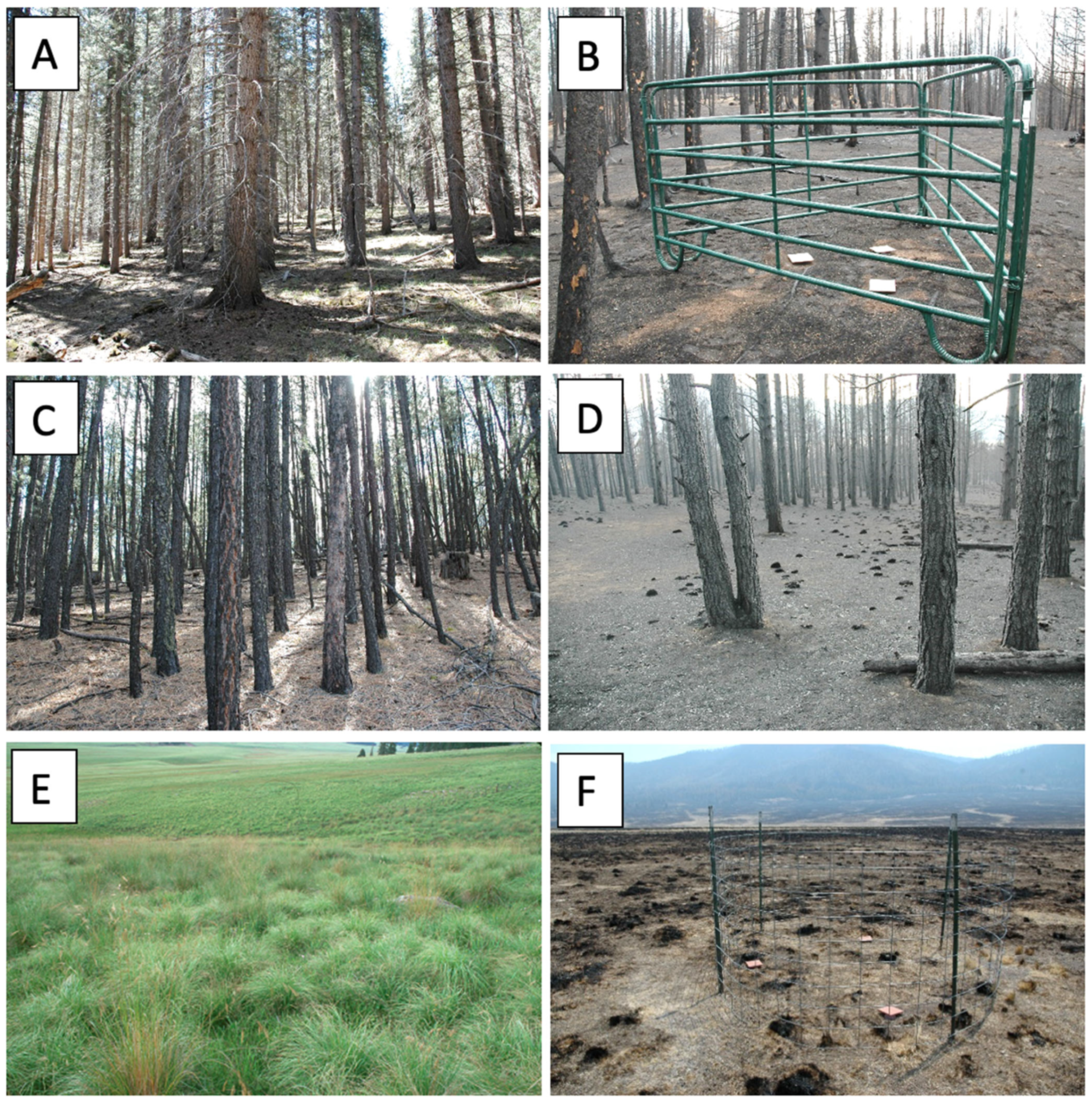 Conservation 04 00049 g001