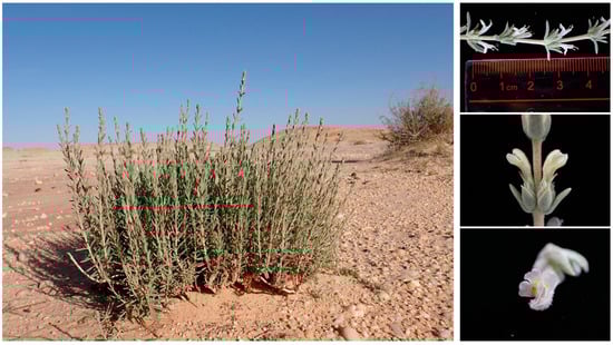 Conservation 05 00009 g0a1