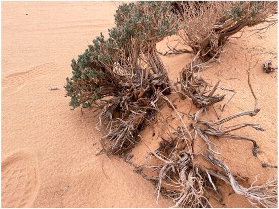 Conservation 05 00009 g0a4