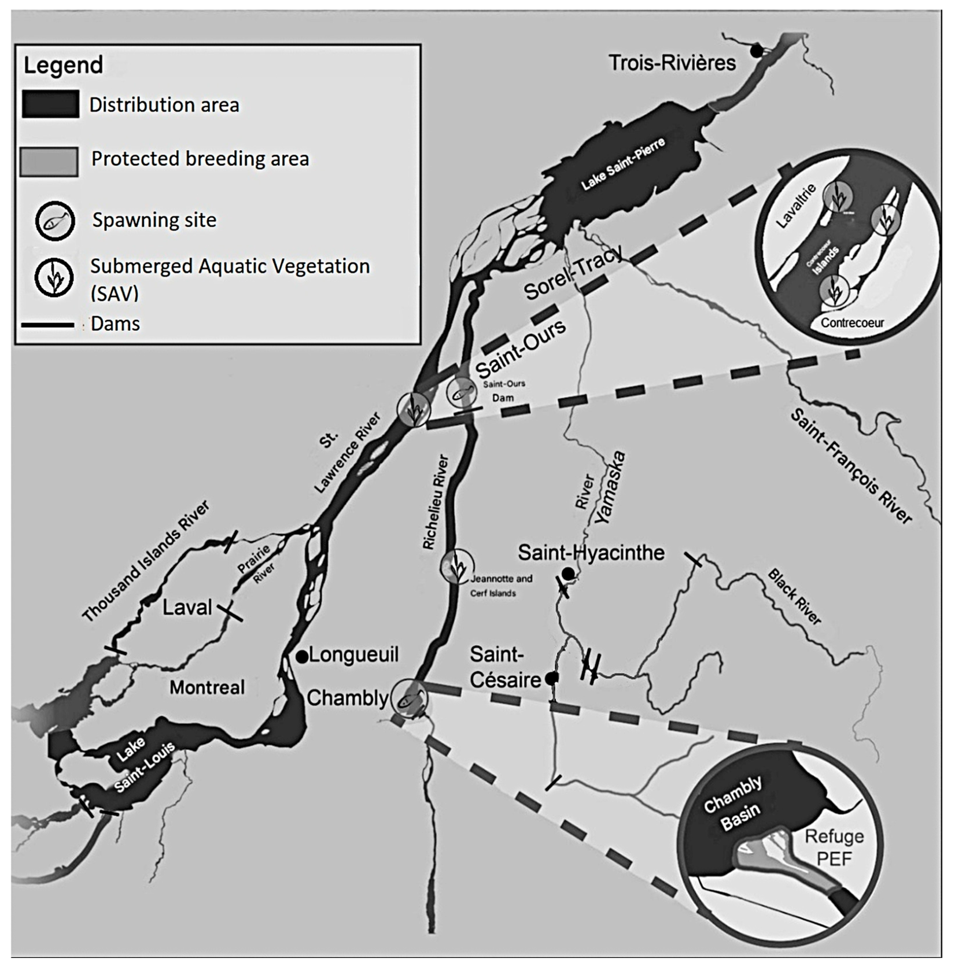 Conservation 05 00027 g008 Conservation 05 00027 g008