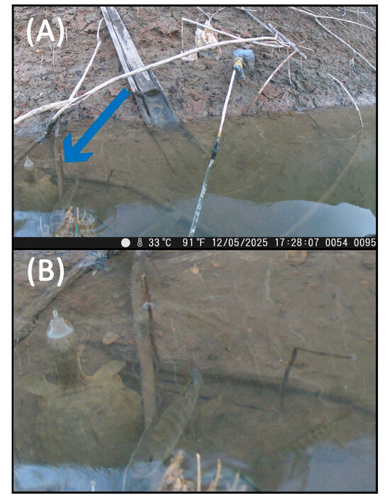 Conservation 05 00032 g0a1