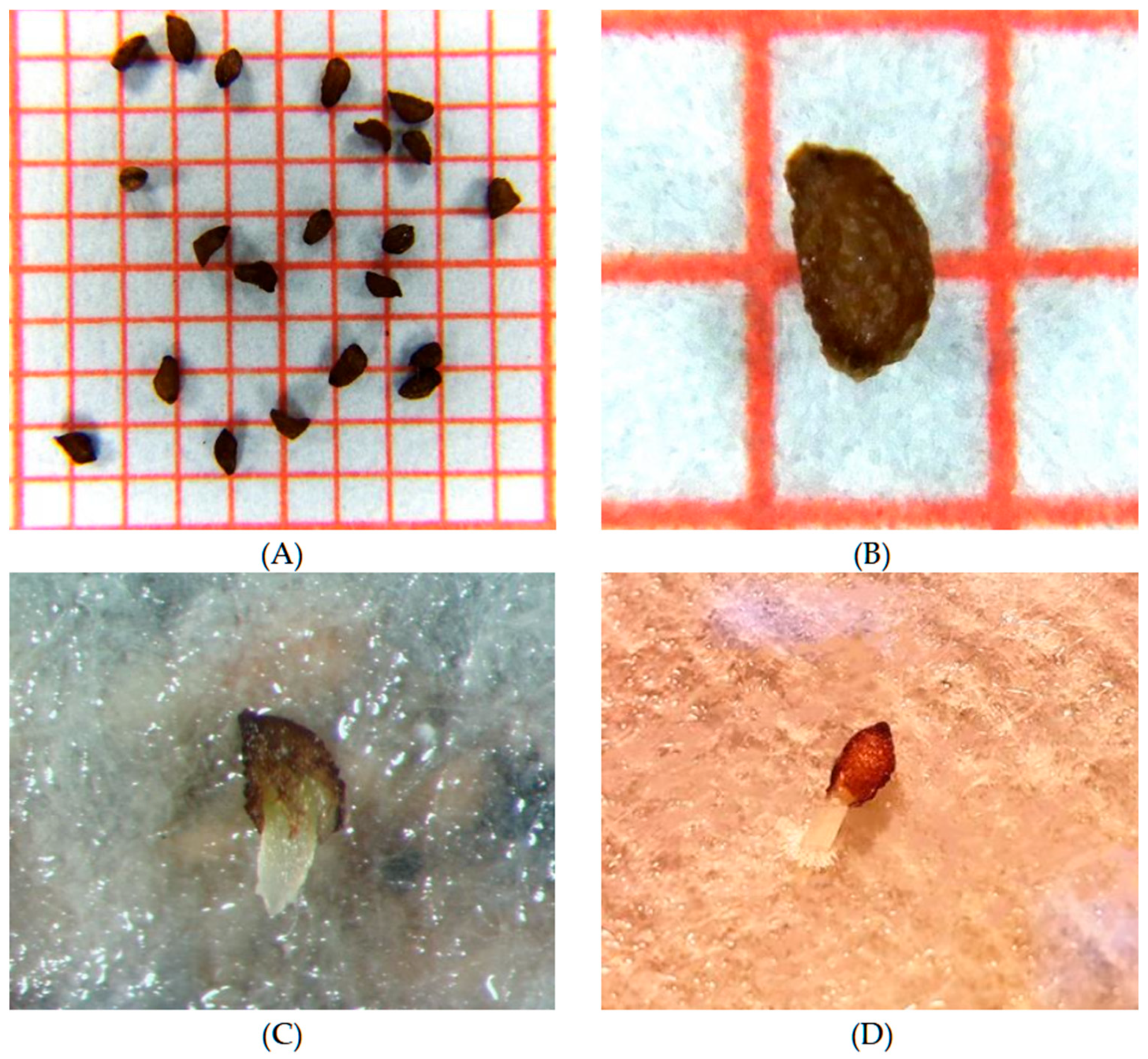 Conservation 05 00039 g002