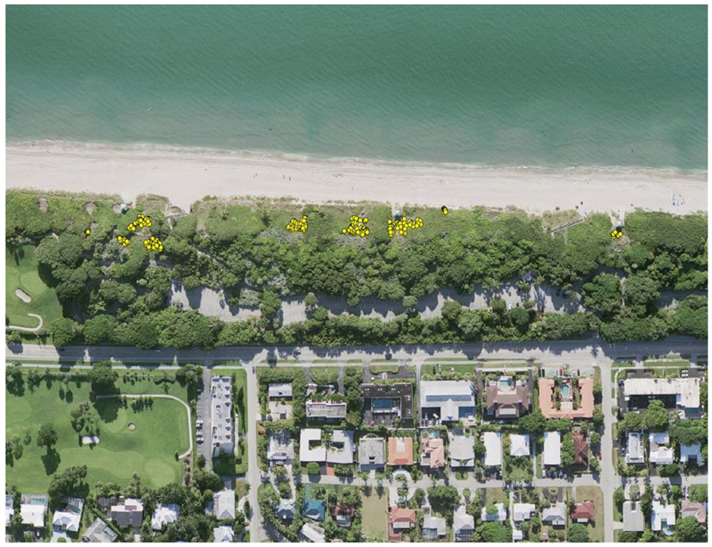 Conservation 05 00040 g002