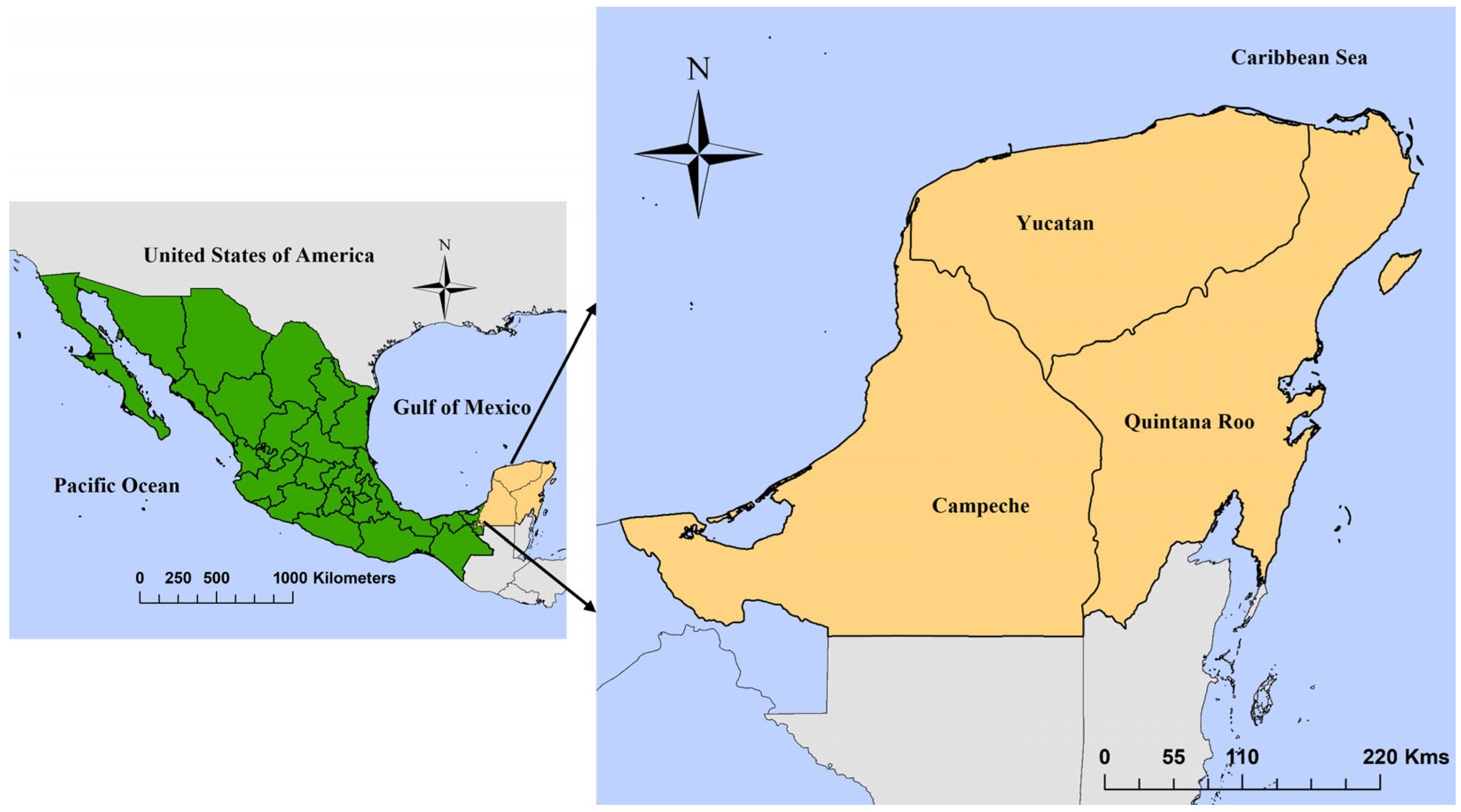 Conservation 05 00044 g001