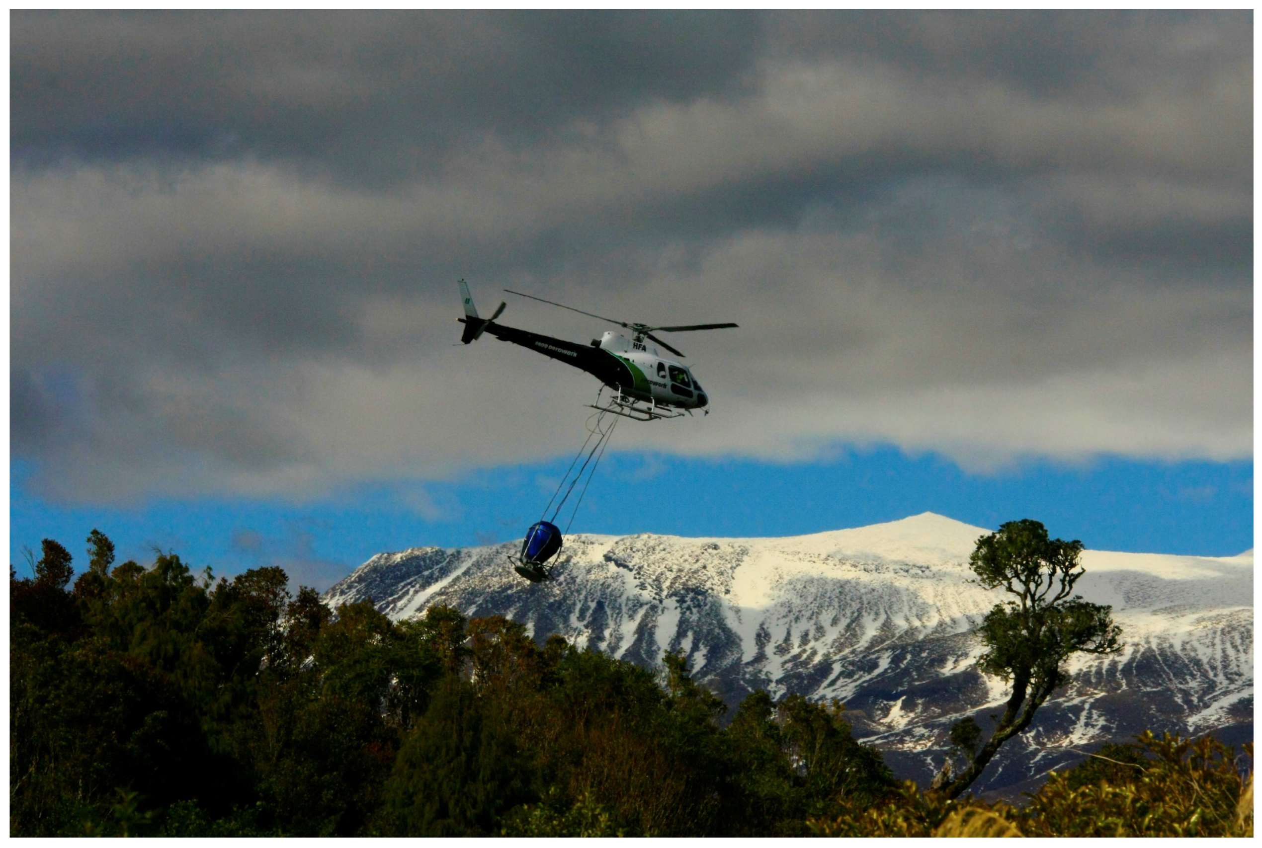 Conservation 05 00047 g001