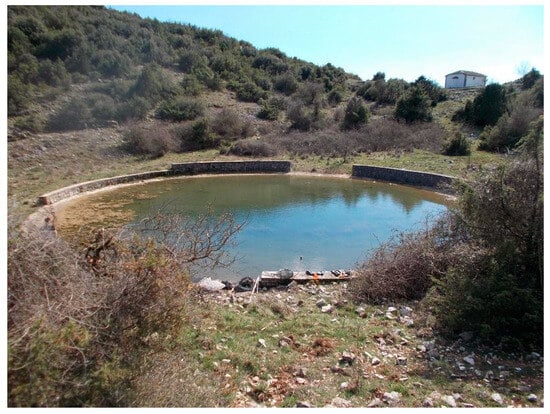 Conservation 05 00079 g0a2