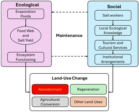 Conceptual framework for analyzing socio-ecological systems (SES) of saltscapes facing land-use change.