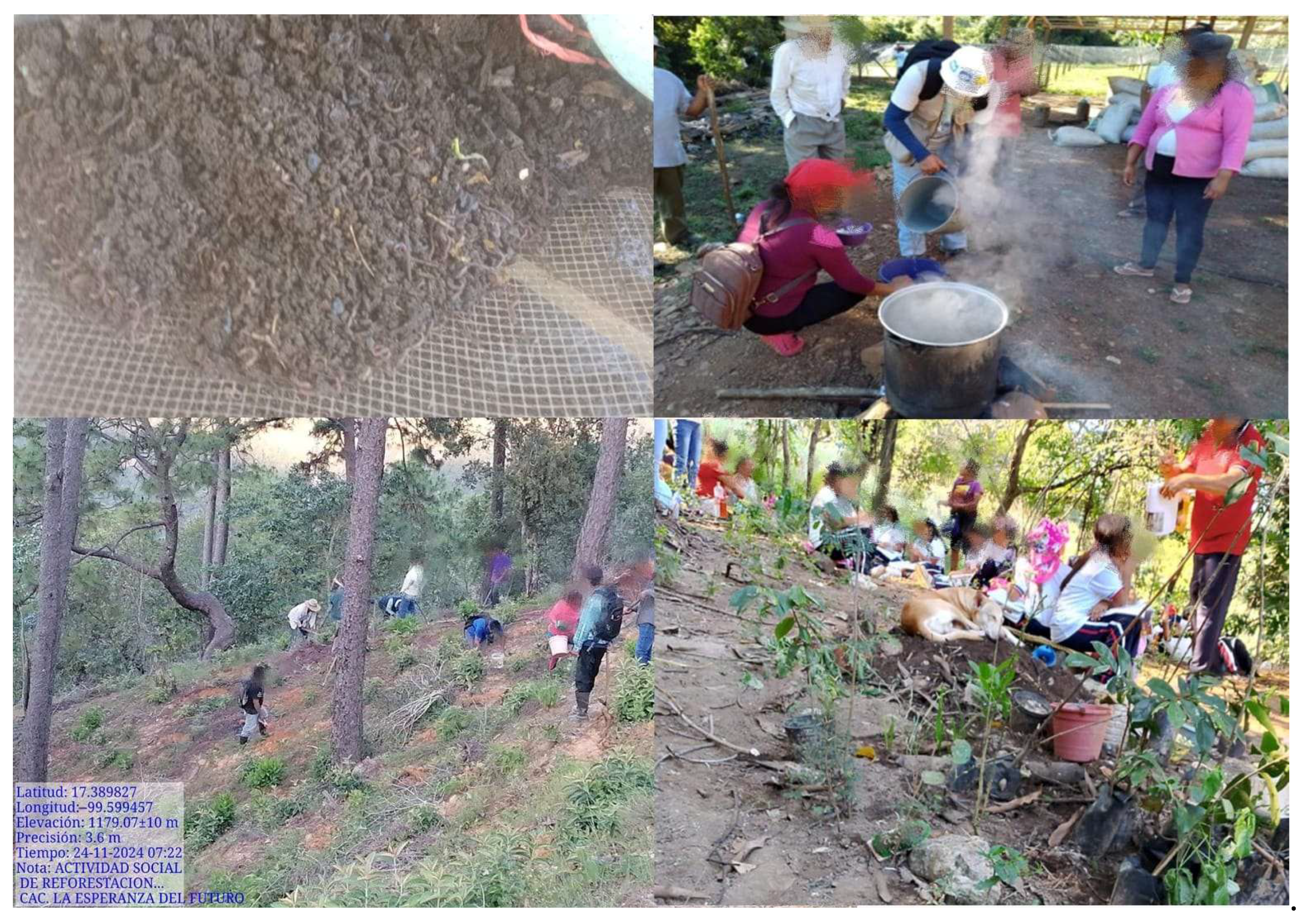 Conservation 06 00008 g008 Conservation 06 00008 g008