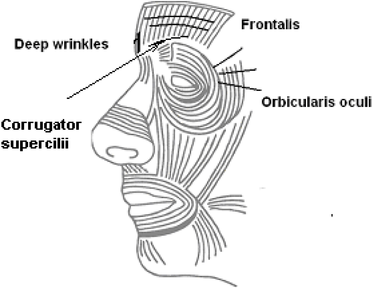 Cosmetics 01 00075 g001