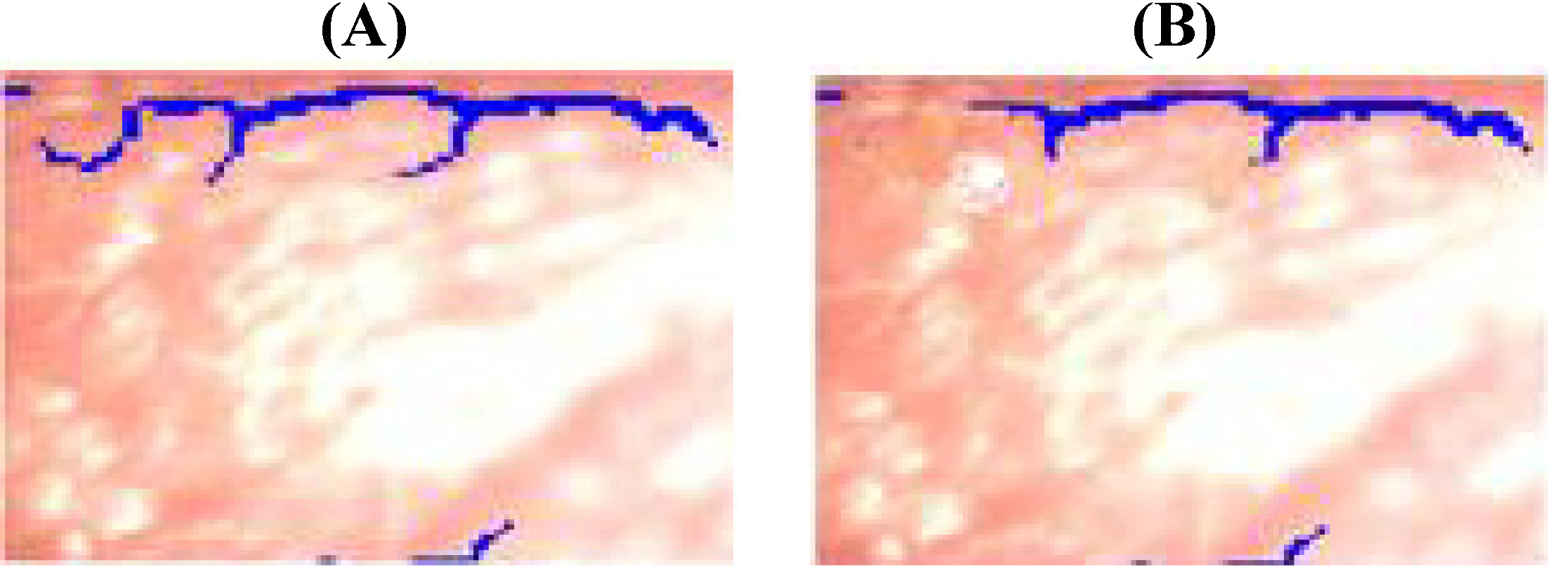 Cosmetics 01 00075 g003