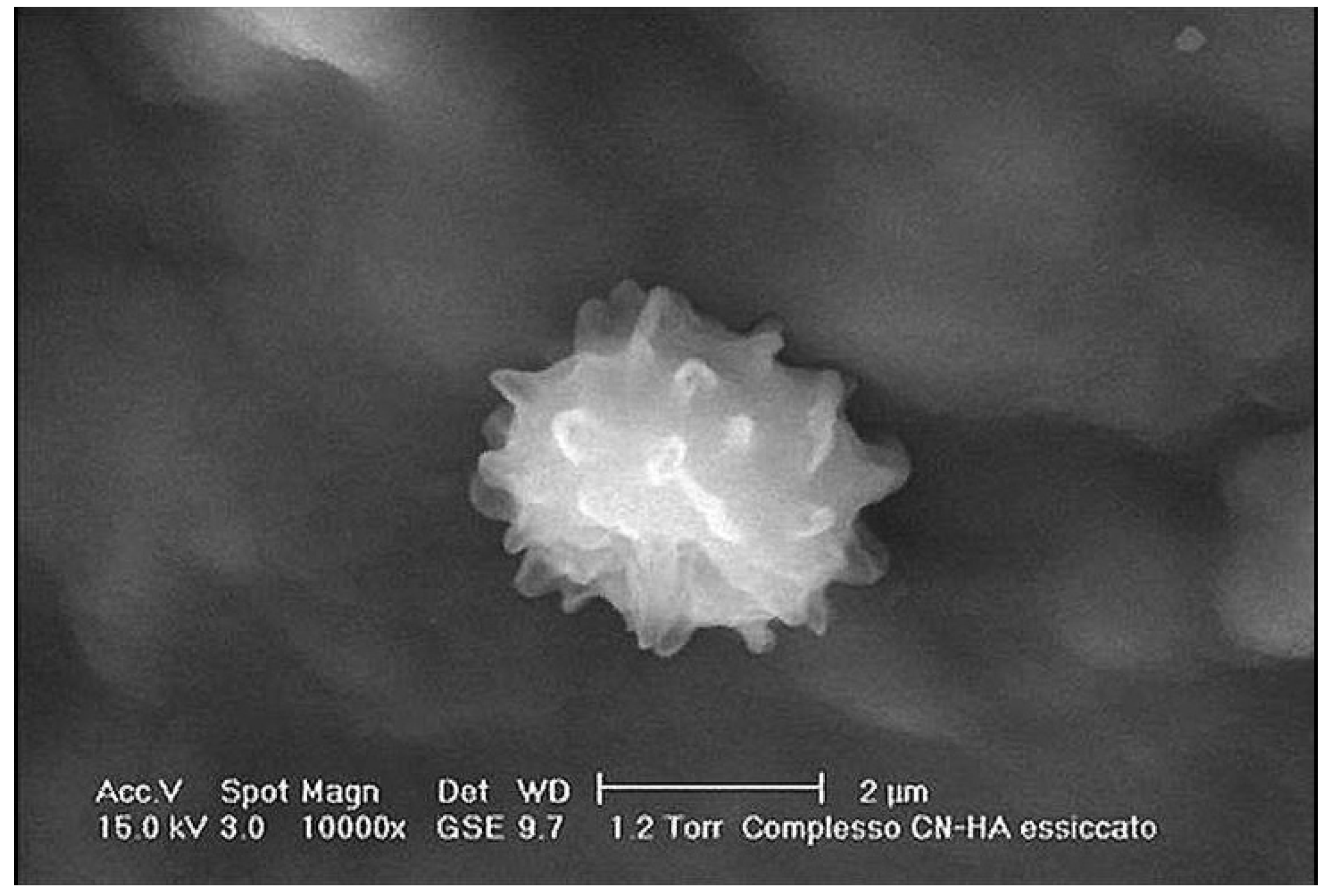 Cosmetics 01 00140 g002