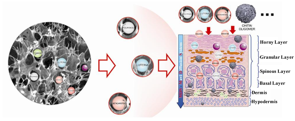 Cosmetics 01 00140 g008 1024