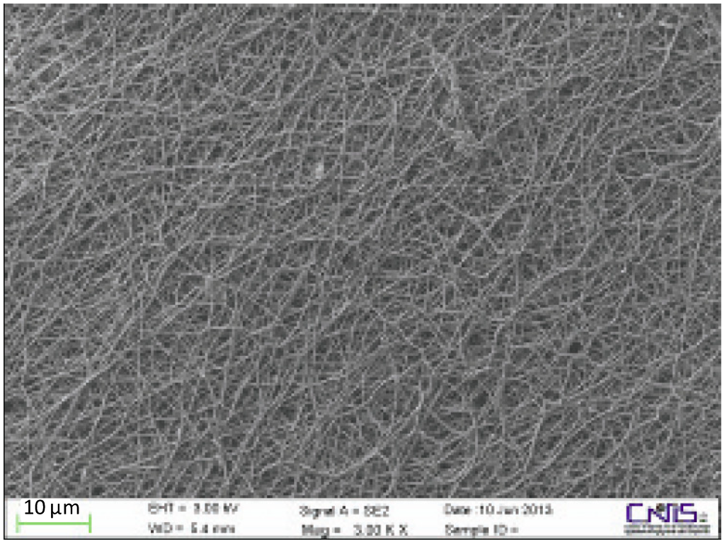 Cosmetics 01 00140 g017 1024