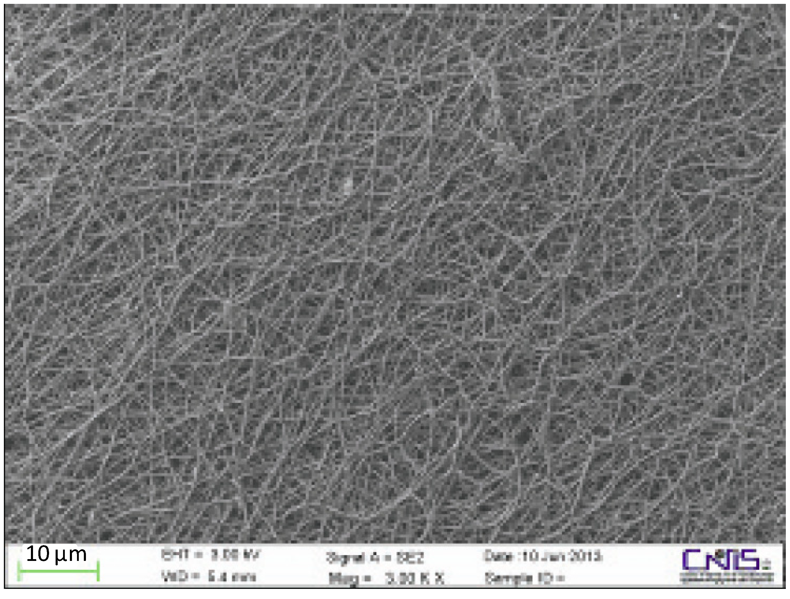 Cosmetics 01 00140 g017