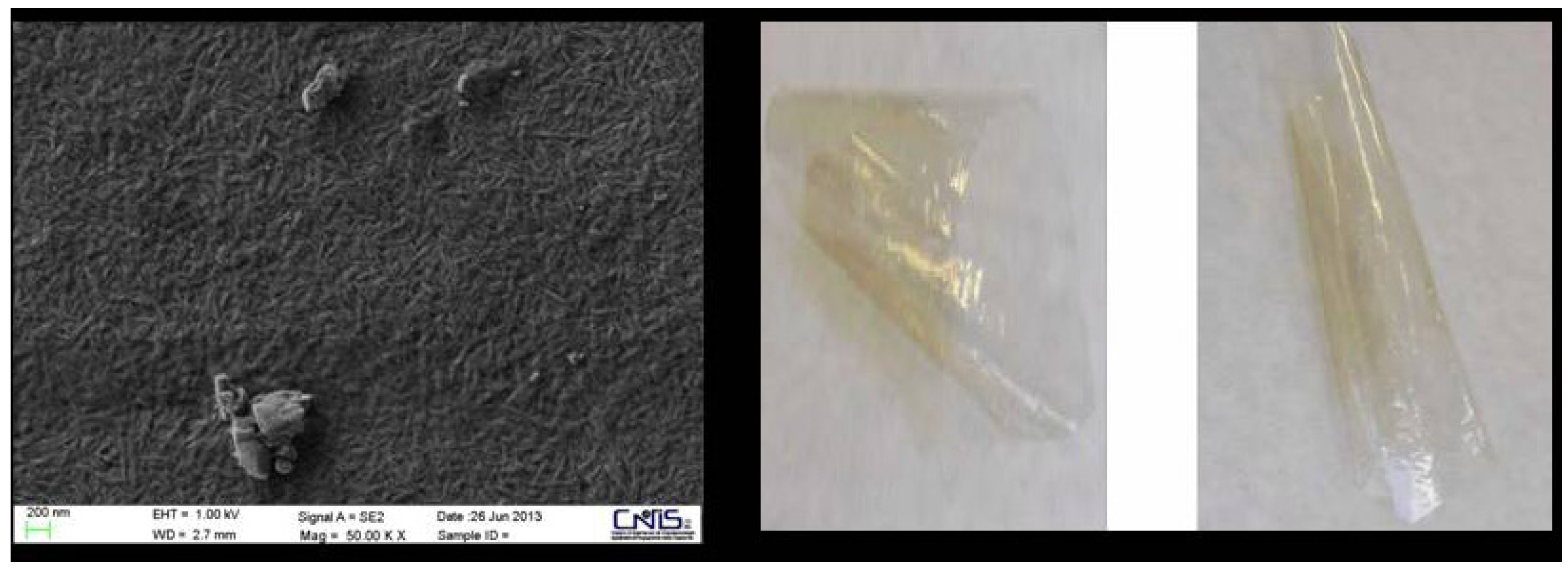 Cosmetics 01 00140 g018