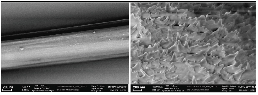 Cosmetics 01 00140 g019 1024