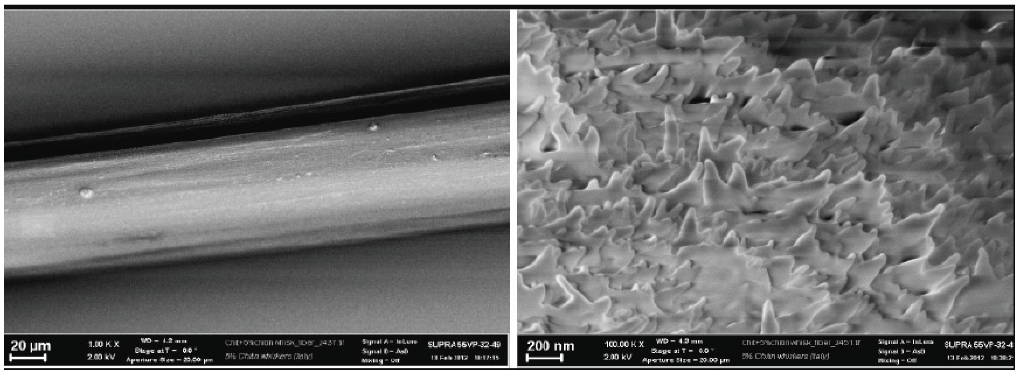 Cosmetics 01 00140 g019