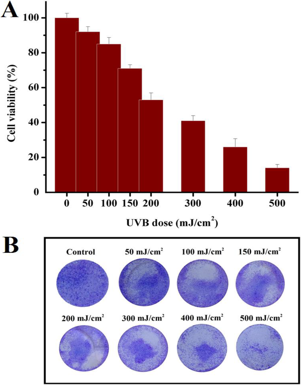 Cosmetics 01 00159 g001 1024