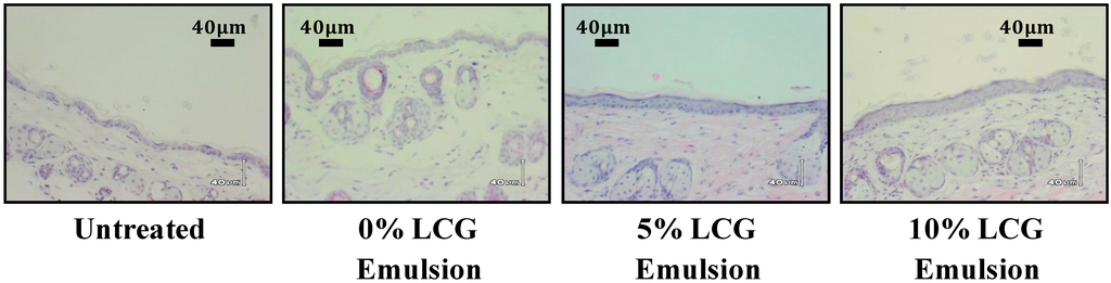 Cosmetics 01 00202 g002 1024