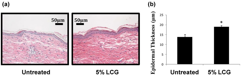 Cosmetics 01 00202 g003 1024