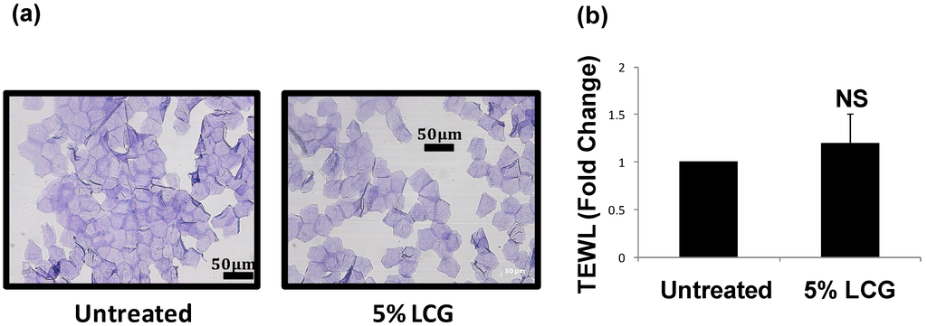 Cosmetics 01 00202 g005 1024