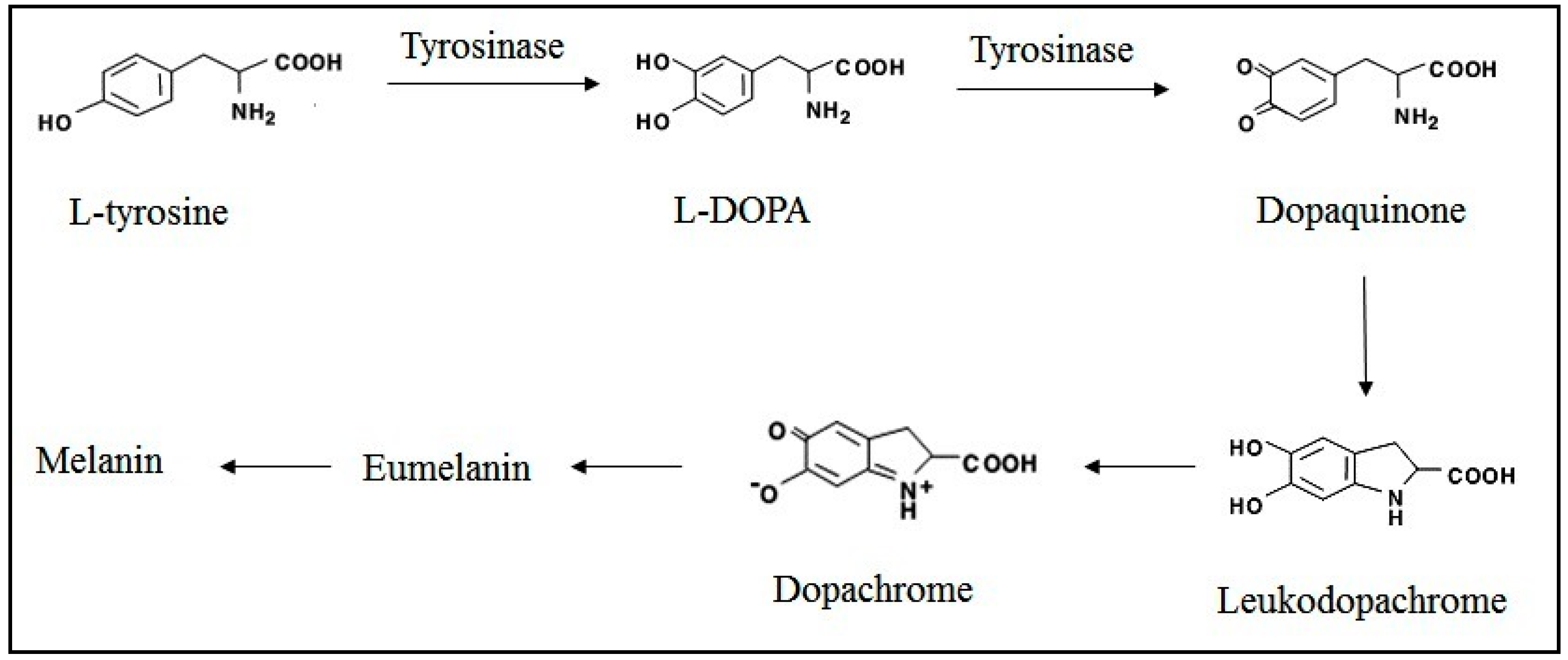Cosmetics 02 00048 g001