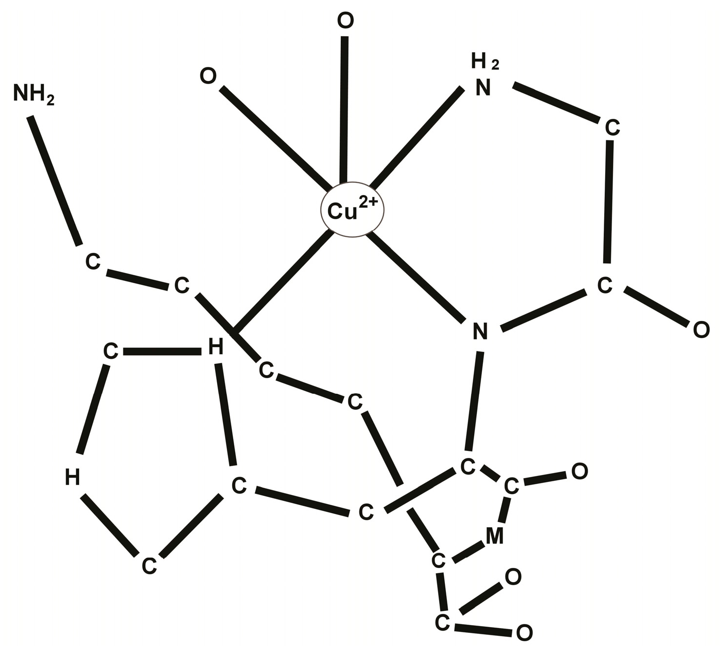 Cosmetics 02 00236 g001