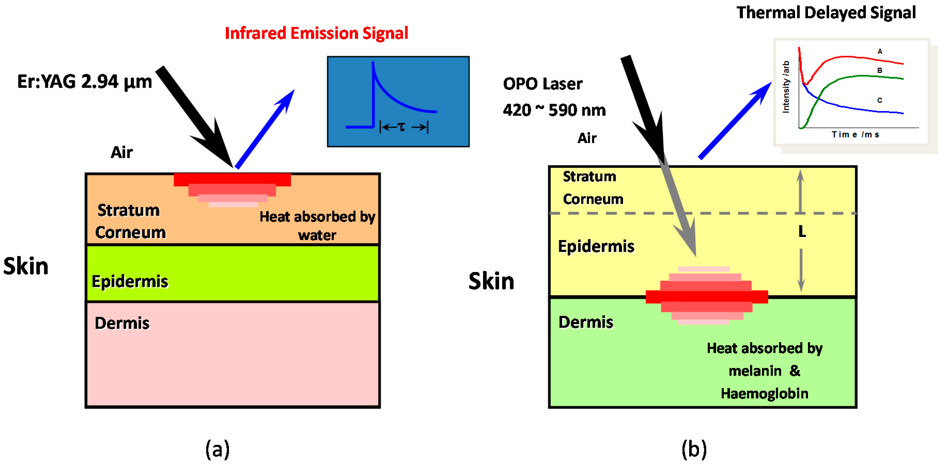 Cosmetics 03 00010 g001
