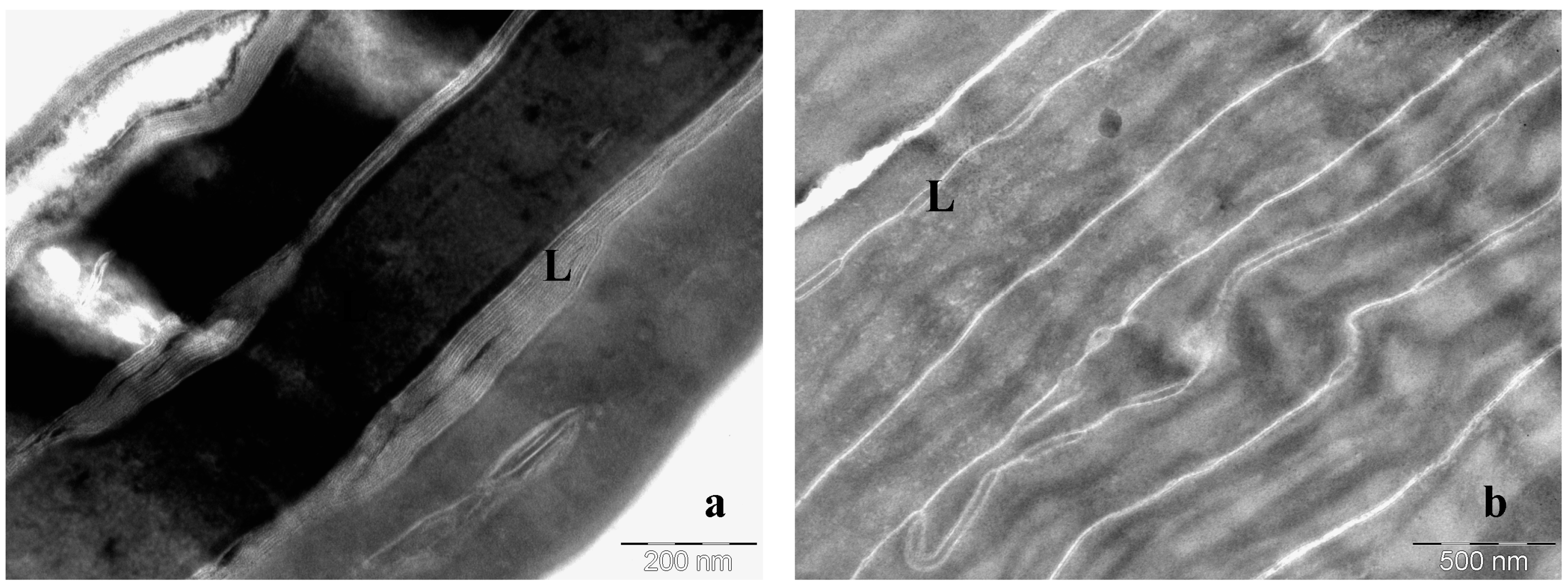 Cosmetics 03 00015 g005